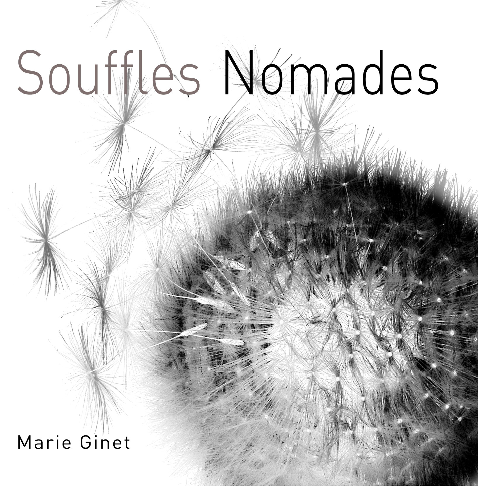 Souffles Nomades de Marie Ginet